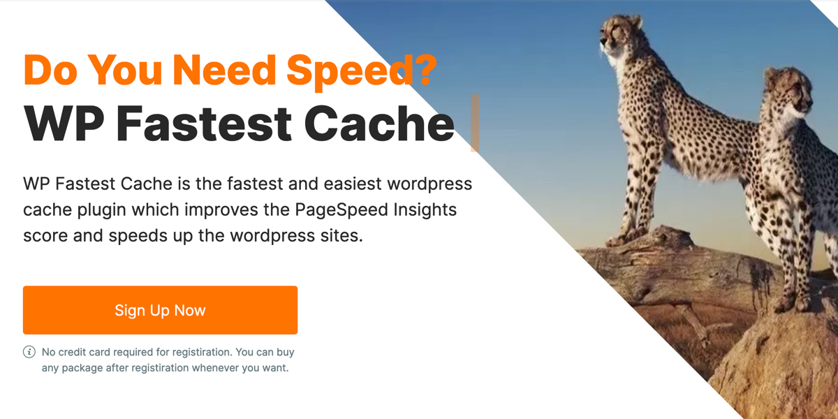 WP Fastest Cache Pro