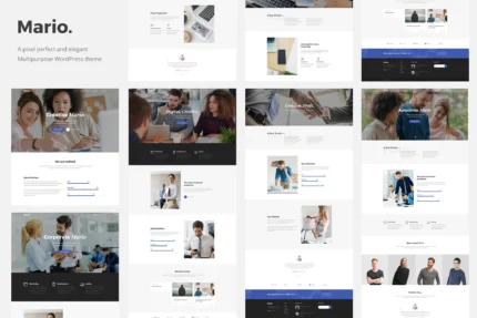 Mario-Creative Multipurpose WordPress Theme