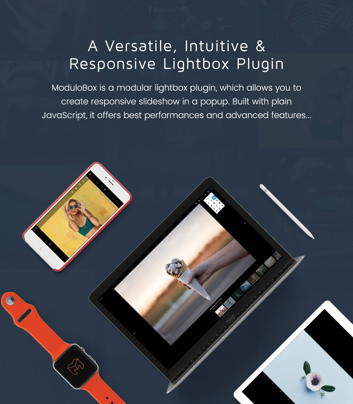 ModuloBox – NextGen Lightbox Plugin for WordPress