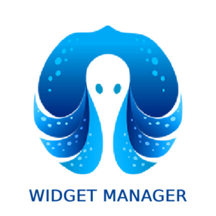 widget manager