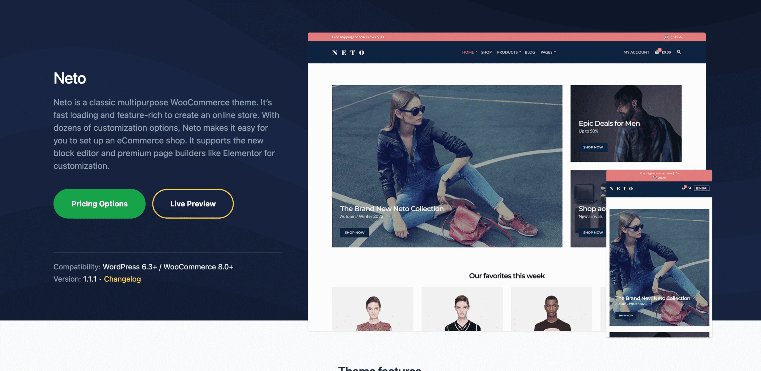 CSSIgniter Neto-WordPress- Themes