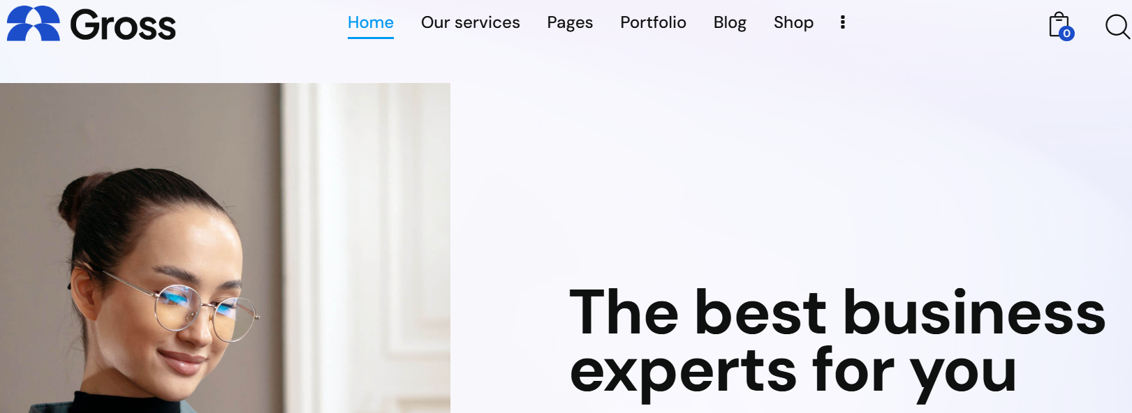 Gross-Business-Consulting-WordPress-Themes