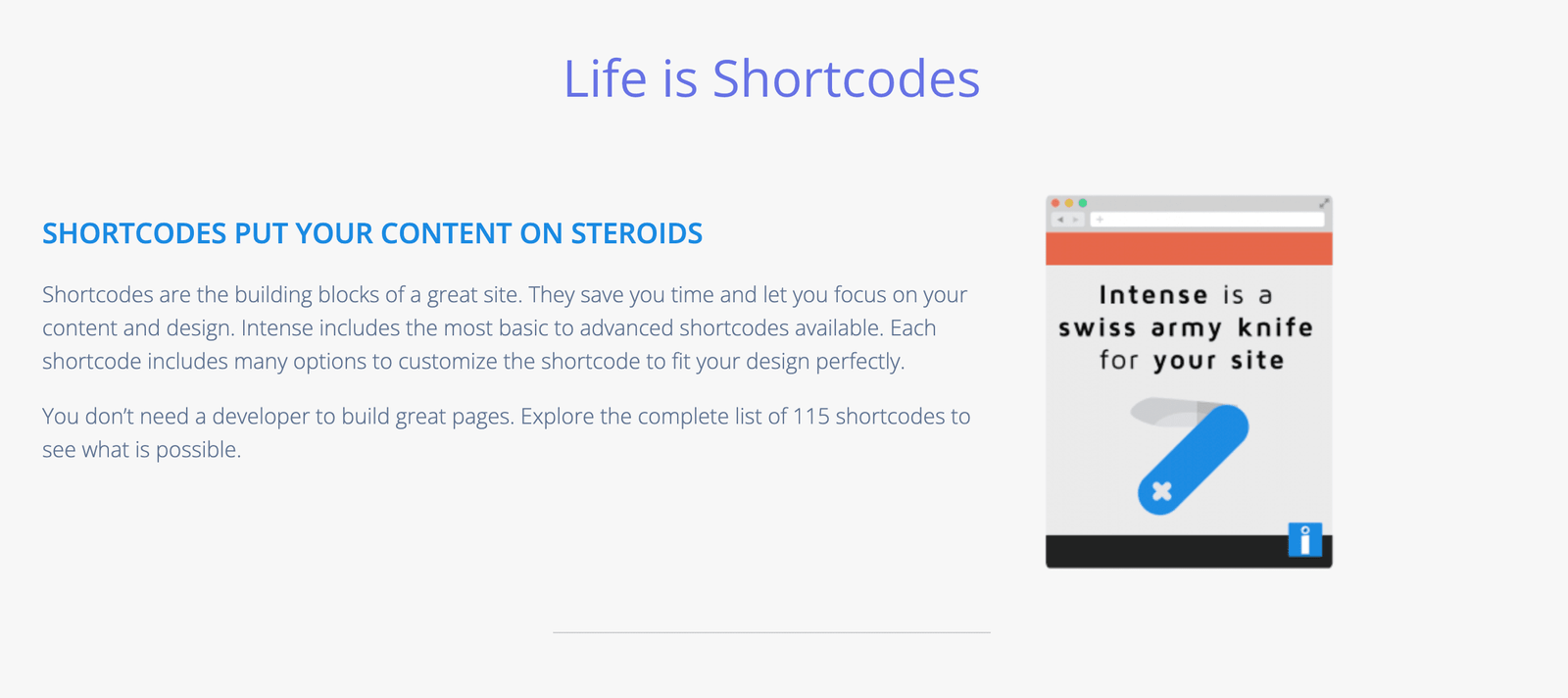 Intense – Shortcodes and Site Builder-for- wordpress