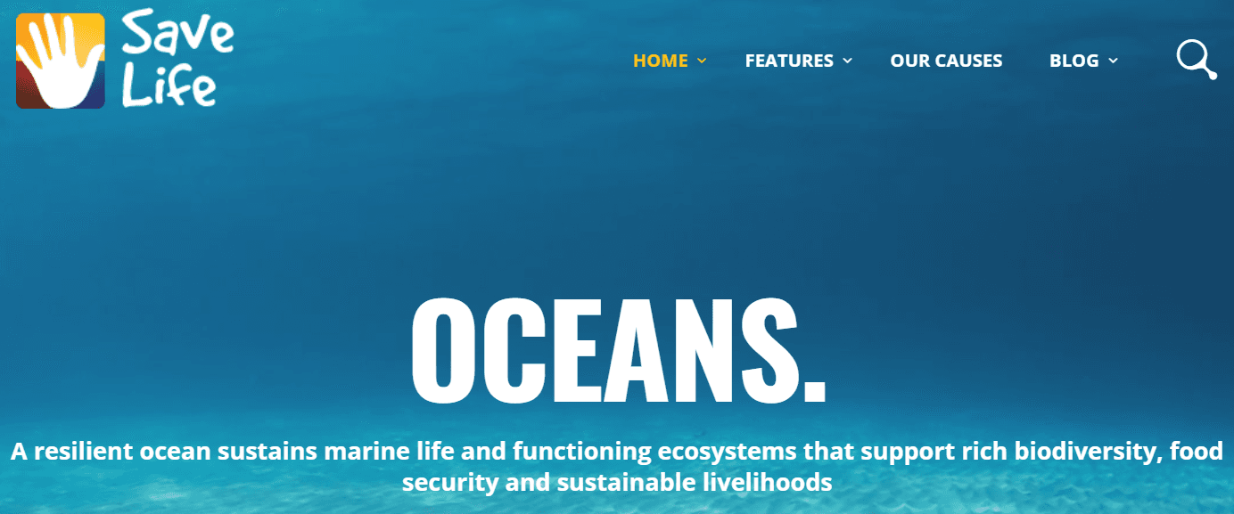 Save Life Non-Profit Charity & Donations WordPress Themes