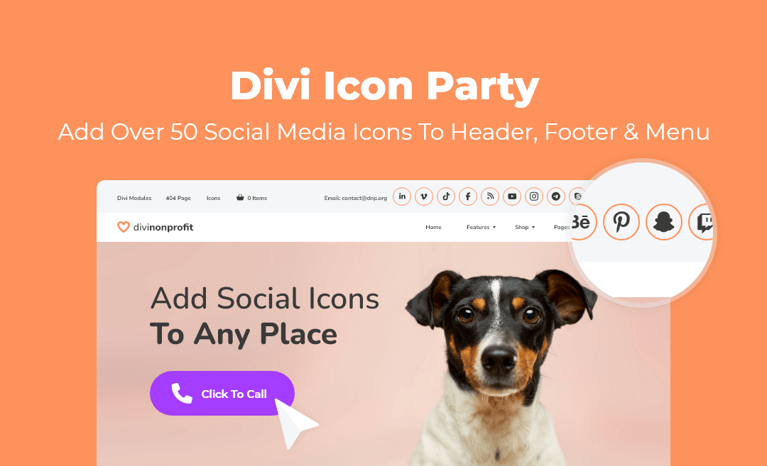 divi icon party