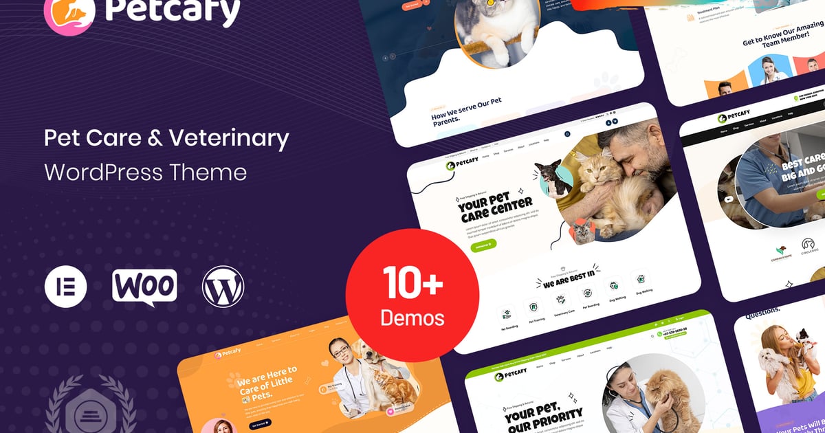 Petcafy – Pet Care & Veterinary WordPress Theme