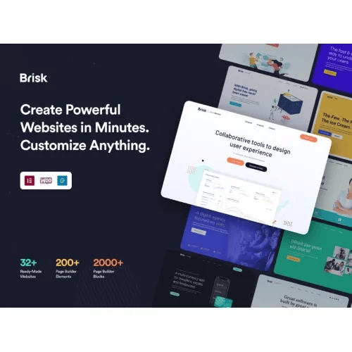 brisk wordpress