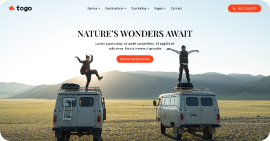 togo wordpress theme